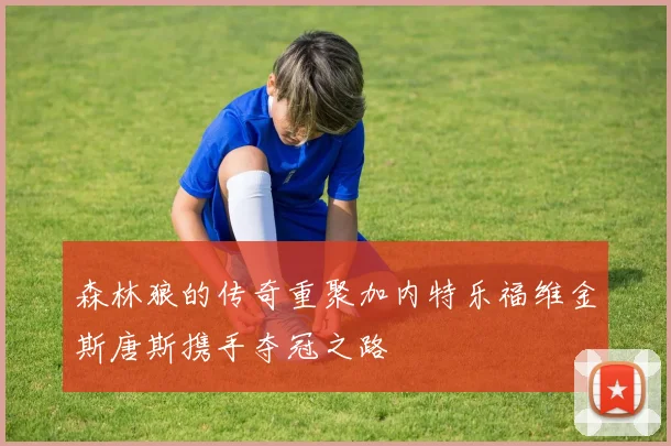 森林狼的传奇重聚加内特乐福维金斯唐斯携手夺冠之路